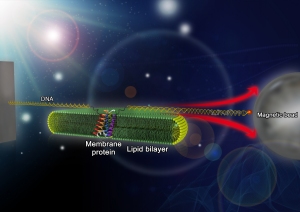 research image