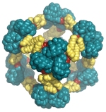 cellular mechanism