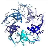 research image